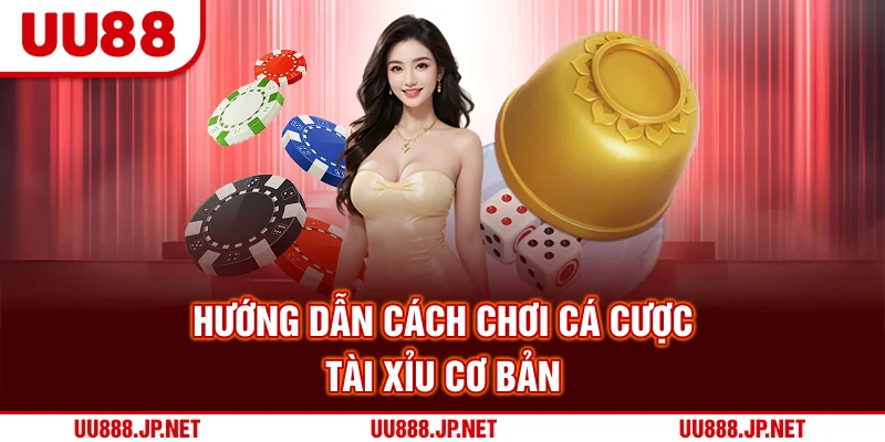 Hướng dẫn cách chơi cá cược tài xỉu cơ bản
