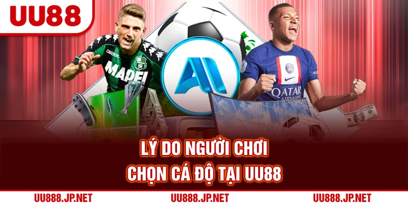Lý do người chơi chọn cá độ tại UU88